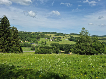 Prodej chaty / chalupy 35 m², Borušov