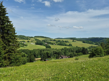 Prodej chaty / chalupy 35 m², Borušov