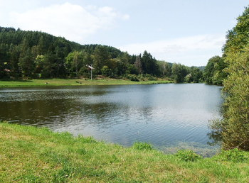 Prodej chaty / chalupy 35 m², Borušov