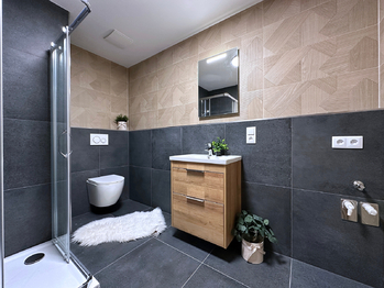 Pronájem bytu 1+kk v osobním vlastnictví 59 m², České Budějovice