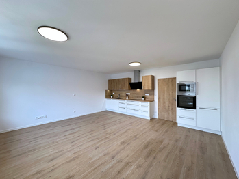 Pronájem bytu 1+kk v osobním vlastnictví 59 m², České Budějovice