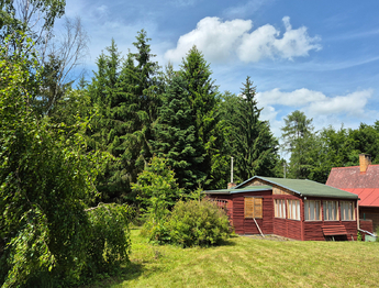 Prodej pozemku 1308 m², Borušov