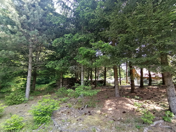 Prodej pozemku 1308 m², Borušov