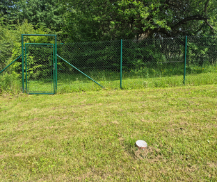 Prodej pozemku 1308 m², Borušov