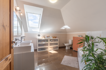 Prodej domu 300 m², Lom