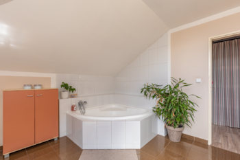 Prodej domu 300 m², Lom