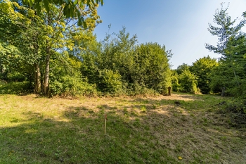 Prodej pozemku 3907 m², Domašov