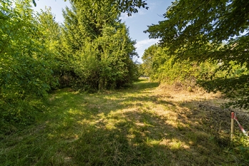 Prodej pozemku 3907 m², Domašov