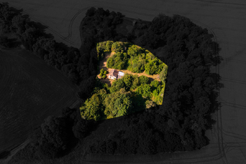 Prodej pozemku 3907 m², Domašov