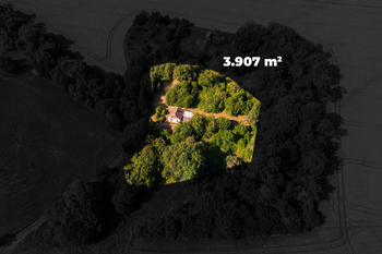 Prodej pozemku 3907 m², Domašov