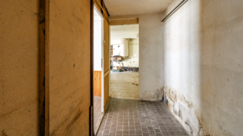 Prodej domu 500 m², Cvikov