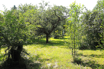 Prodej domu 198 m², Nové Město nad Metují