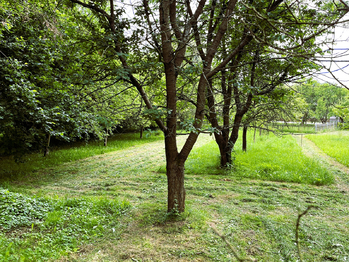 Prodej pozemku 1592 m², Nový Jičín