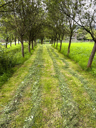 přístupová cesta - Prodej pozemku 1592 m², Nový Jičín