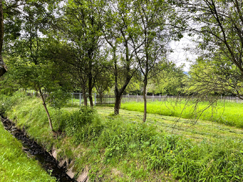 Prodej pozemku 1592 m², Nový Jičín