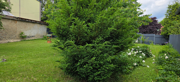 Prodej pozemku 530 m², Litoměřice