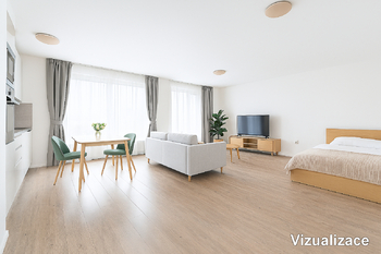 Pronájem bytu 1+kk v osobním vlastnictví 55 m², České Budějovice