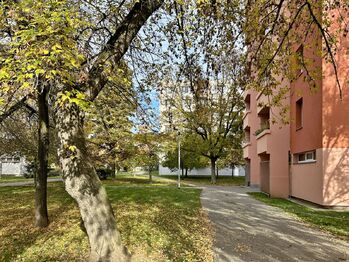 Pronájem bytu 3+1 v osobním vlastnictví 65 m², Písek