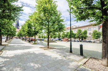 Pronájem kancelářských prostor 65 m², Louny