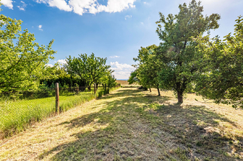 Pohled ze země. - Prodej pozemku 924 m², Pleše