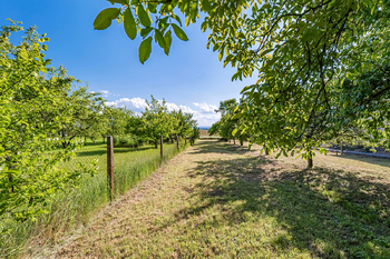Pohled ze země. - Prodej pozemku 924 m², Pleše