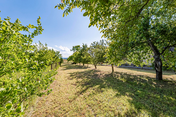 Pohled ze země. - Prodej pozemku 924 m², Pleše