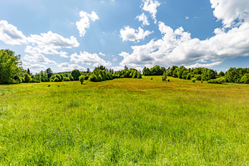 Pohled ze země. - Prodej pozemku 14044 m², Člunek
