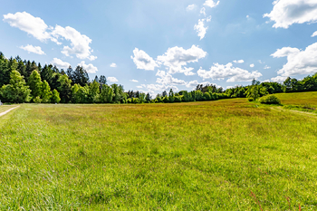 Pohled ze země. - Prodej pozemku 14044 m², Člunek