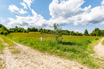 Pohled ze země (hranice pozemku). - Prodej pozemku 14044 m², Člunek
