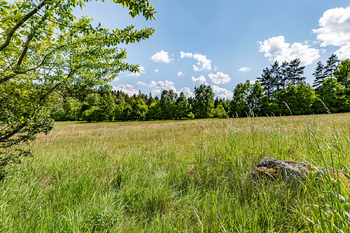 Pohled ze země. - Prodej pozemku 14044 m², Člunek
