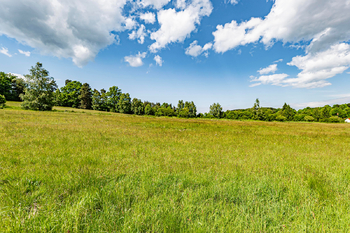 Pohled ze země. - Prodej pozemku 14044 m², Člunek