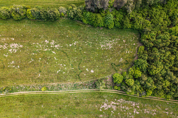Ptačí perspektiva. - Prodej pozemku 14044 m², Člunek