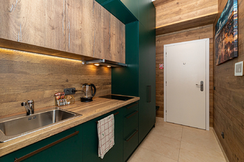 Pronájem bytu 1+kk v osobním vlastnictví 25 m², Praha 2 - Nové Město