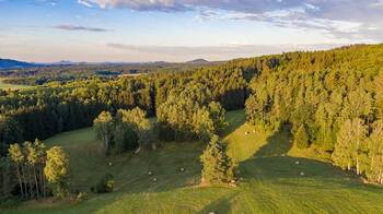 Prodej zemědělského objektu 1000 m², Jablonné v Podještědí