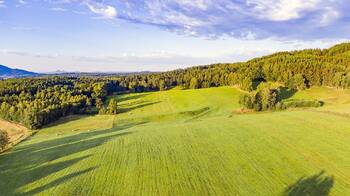 Prodej zemědělského objektu 1000 m², Jablonné v Podještědí
