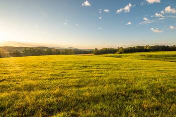 Prodej zemědělského objektu 1000 m², Jablonné v Podještědí