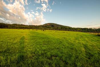 Prodej zemědělského objektu 1000 m², Jablonné v Podještědí