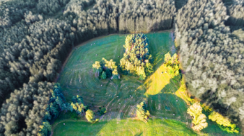 Prodej zemědělského objektu 1000 m², Jablonné v Podještědí