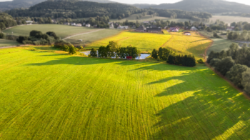 Prodej zemědělského objektu 1000 m², Jablonné v Podještědí