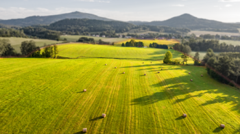 Prodej zemědělského objektu 1000 m², Jablonné v Podještědí