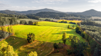 Prodej zemědělského objektu 1000 m², Jablonné v Podještědí
