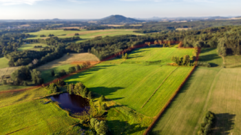 Prodej zemědělského objektu 1000 m², Jablonné v Podještědí