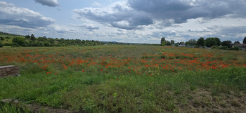 Prodej pozemku 530 m², Litoměřice