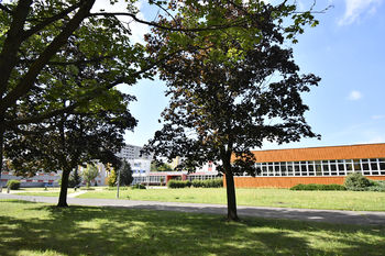Pronájem bytu 1+1 v osobním vlastnictví 34 m², Hradec Králové