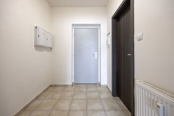 Pronájem bytu 1+kk v osobním vlastnictví 30 m², Plzeň