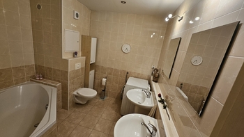 Pronájem bytu 4+1 v družstevním vlastnictví 80 m², Český Těšín