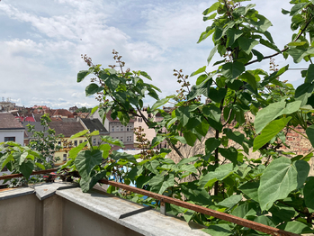 Prodej domu 198 m², Teplice