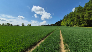 Prodej pozemku 5776 m², Borová