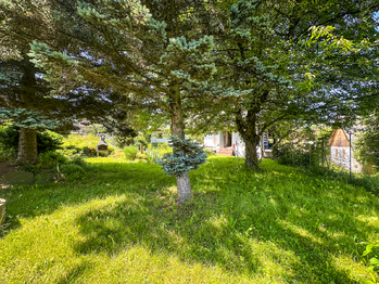Prodej chaty / chalupy 110 m², Petrovice