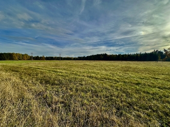 Prodej domu 100 m², Nová Ves nad Lužnicí